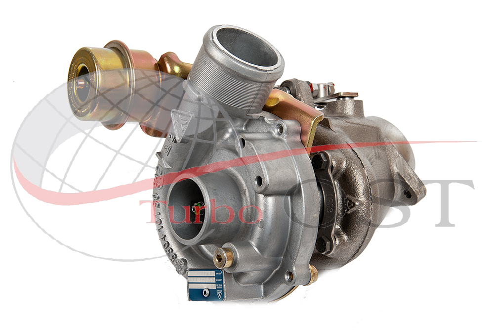 53039880020